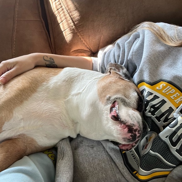 Apollo 🪽❤️‍🩹 - Picture 13 of 13